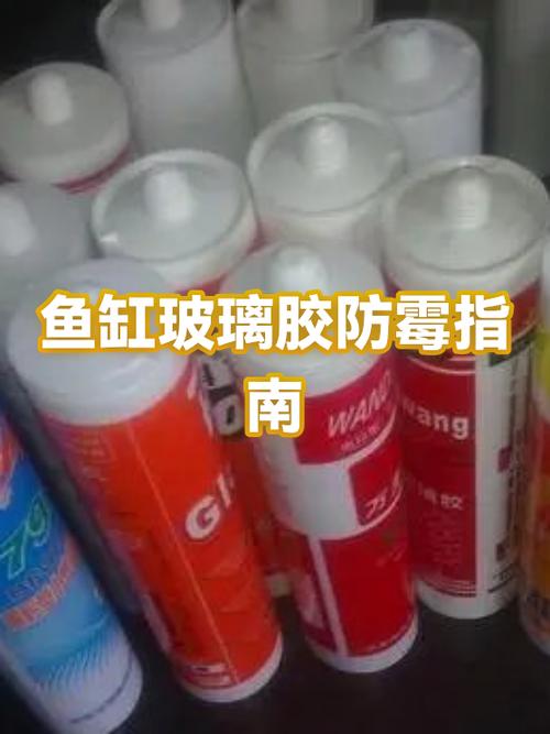 玻璃胶粘鱼缸多久可以放水优化版游戏截图