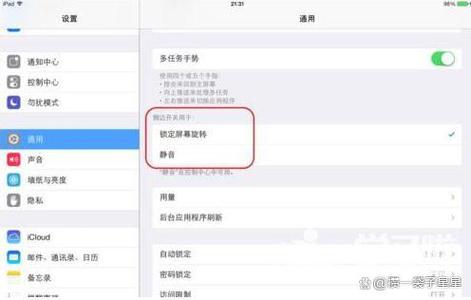 ipad怎么让屏幕不动图标