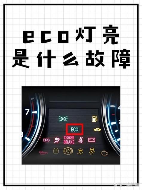 车上的eco什么时候开最合适