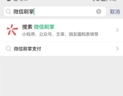 手机上怎么开通微信刷掌支付无广告版游戏截图