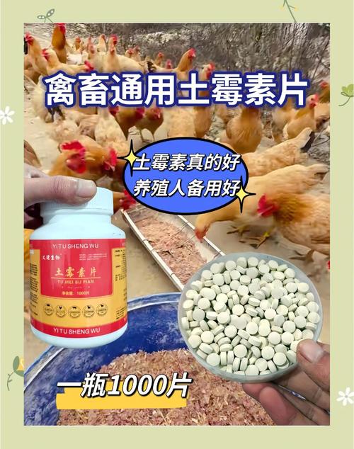 鸡掉毛不下蛋了要吃什么药好游戏截图