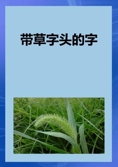 上面一个草字头下面一个清是什么字缩略图