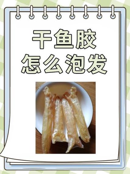 鱼胶放冰箱冷冻十年还能吃吗游戏截图