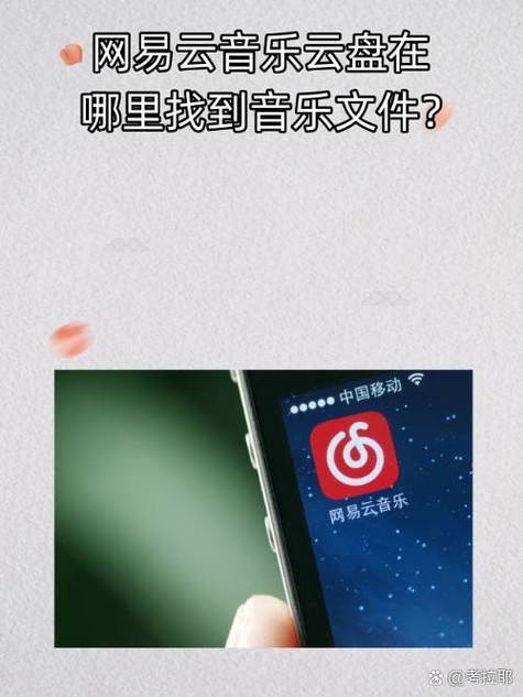 网易云音乐匹配不了封面歌词游戏截图