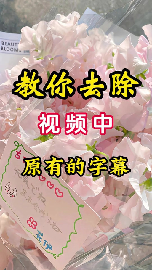 剪映歌词识别不出来缩略图