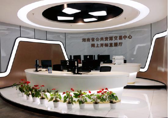 湖南省公共资源交易服务平台官网缩略图