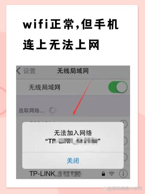 苹果手机wifi显示已连接(不可上网)游戏截图