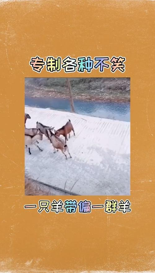 领头羊用来比喻什么人图标
