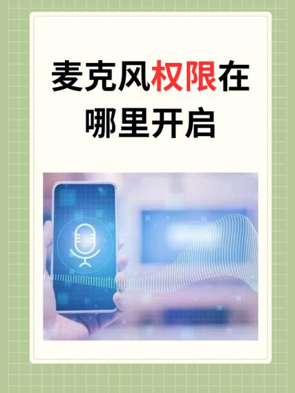 平板电脑的麦克风权限在哪里开启图标