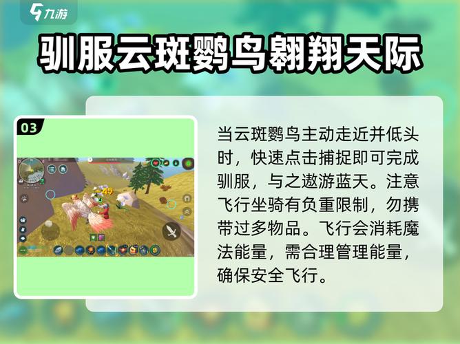 创造与魔法如何获得飞行坐骑缩略图