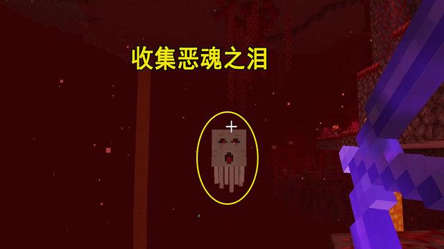 我的世界凋零头颅掉落概率游戏截图