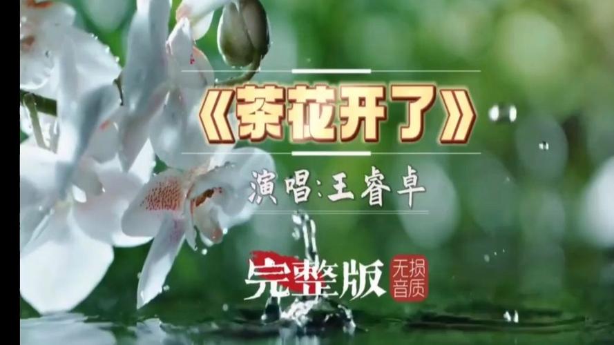 茶花开了主题曲百度网盘图标