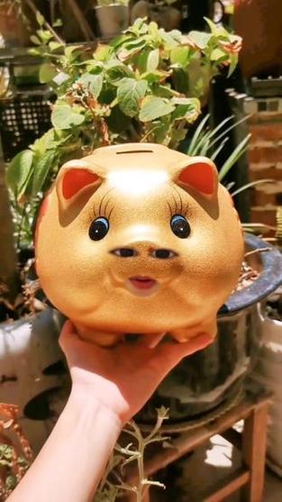 金猪生大钱app邀请码缩略图