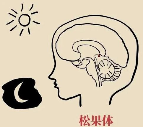 抖音睡着了自动关闭缩略图