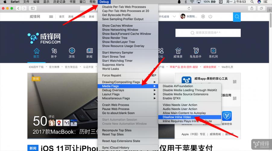 在 mac上的 safari浏览器中停止自动播放视频