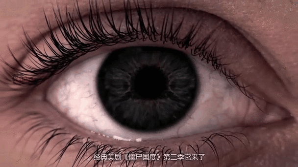 僵尸眼睛等级划分详细完整版缩略图
