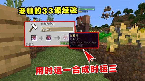 我的世界时运最高多少级缩略图