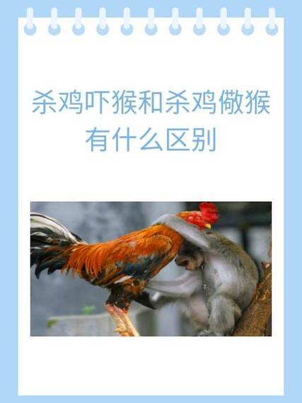 杀鸡时鸡会害怕吗游戏截图