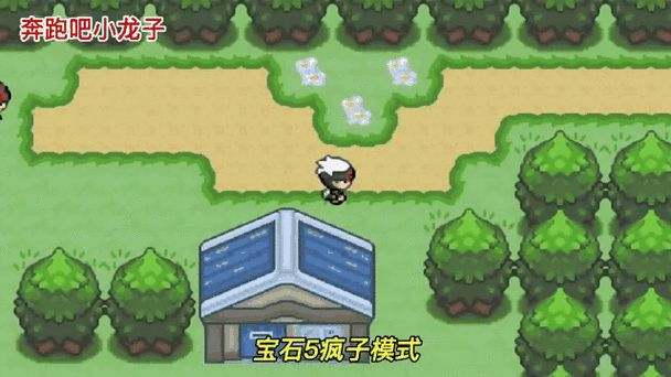 口袋妖怪圣灰打完八个道馆之后攻略缩略图