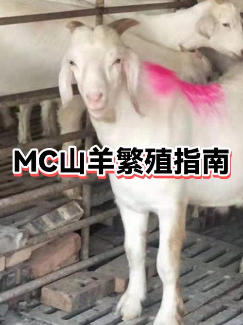我的世界山羊在哪图标