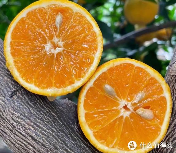 鼻涕橙色像橙子汁要警惕图标
