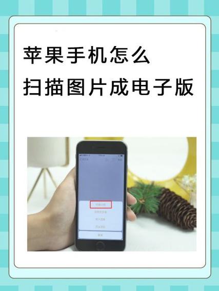 苹果手机怎么把图片转换成文字