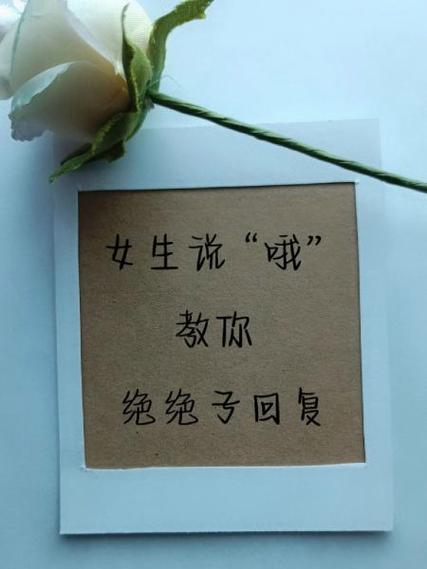 女生说不出去我咋回复游戏截图