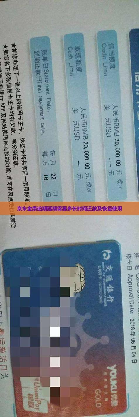 京东金条可以申请延期还款吗游戏截图