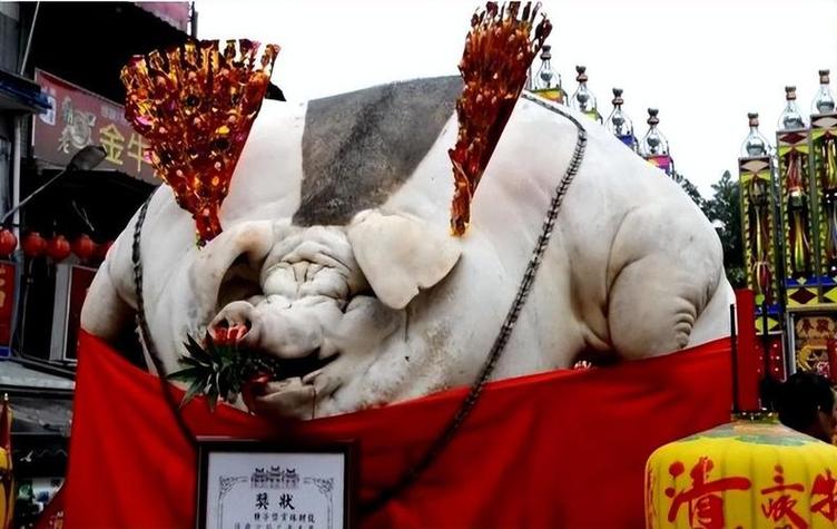 物为猪王打一最佳生肖缩略图