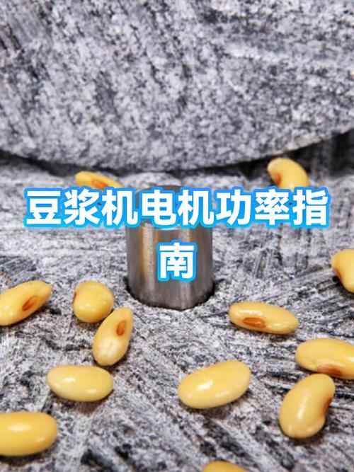 豆浆机的功率一般是多少缩略图