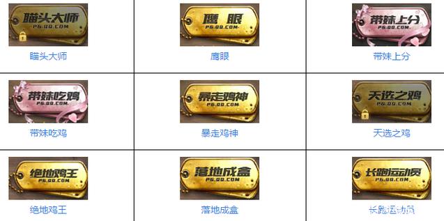 和平精英隐藏勋章大全缩略图