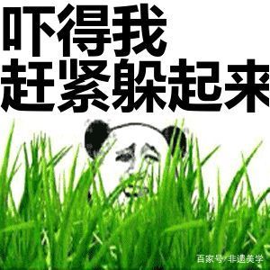 惹不起躲得起下一句缩略图