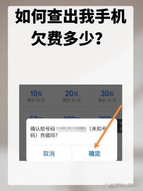 号码停机怎么查询欠费游戏截图