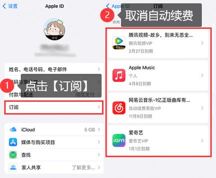 苹果订购的付费项目怎么取消缩略图