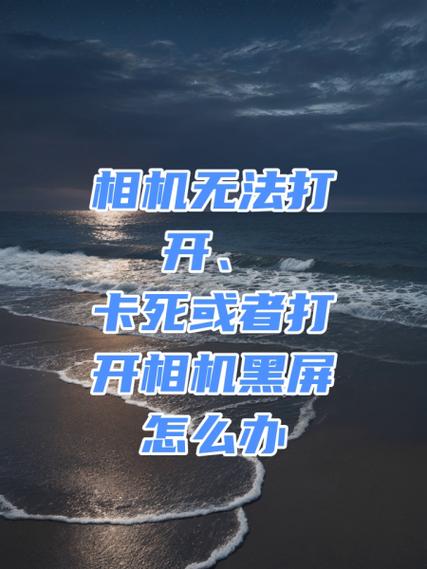 手机相机功能突然没有了怎么办图标