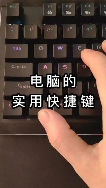 电脑上怎样将字母输入变成拼音输入