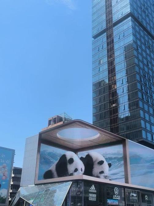 手机摄像头隐藏在屏幕下方缩略图