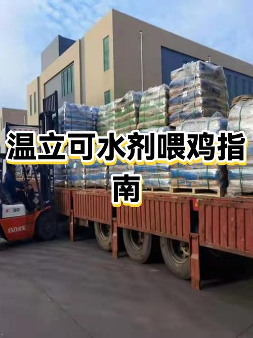 喂鸡水里长期放什么药缩略图