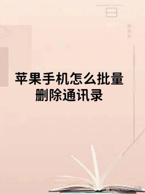 苹果手机批量清除通话记录的方法缩略图
