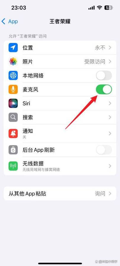 王者荣耀怎么打开麦克风权限安卓缩略图