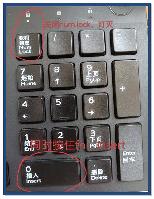 键盘输入一个字后面会消失一个字缩略图