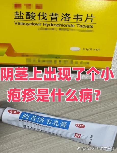 鸡把皮上起小水泡且结痂游戏截图