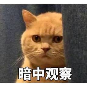 暗中观察表情包gif游戏截图