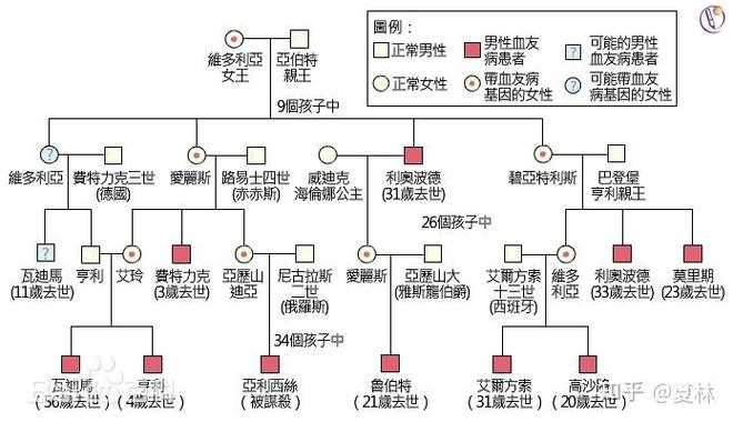 什么是家族遗传基因缩略图