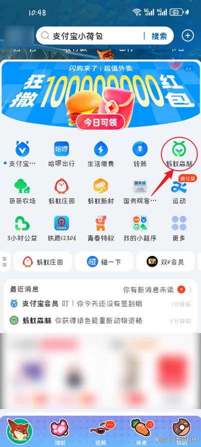 蚂蚁森林绑定钉钉