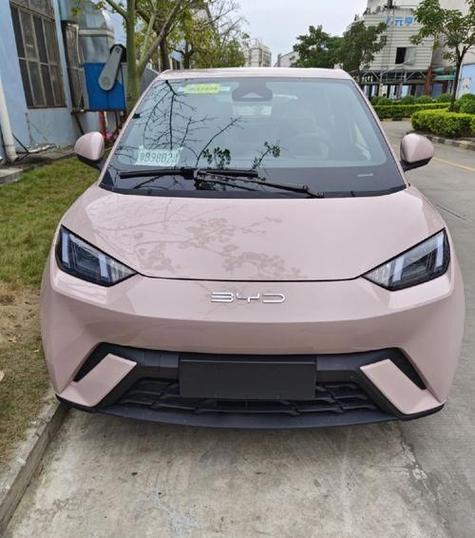 比亚迪小型车3万左右游戏截图