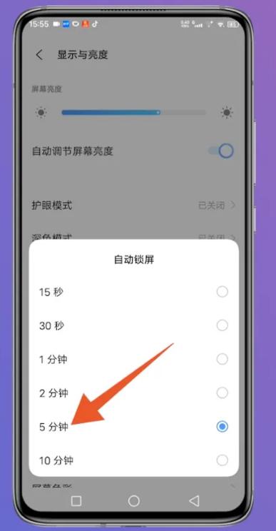 ipad自动亮屏怎么关闭
