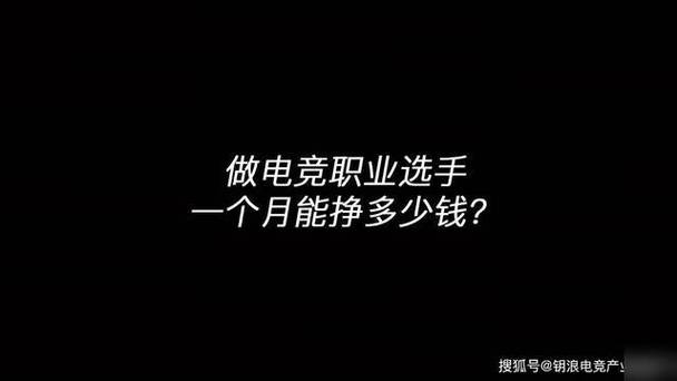 电竞选手一个月能挣多少钱游戏截图