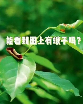 王者荣耀如何判定好友是否隐身缩略图