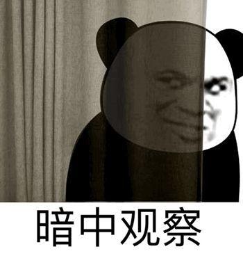 发暗中观察表情包的意思缩略图